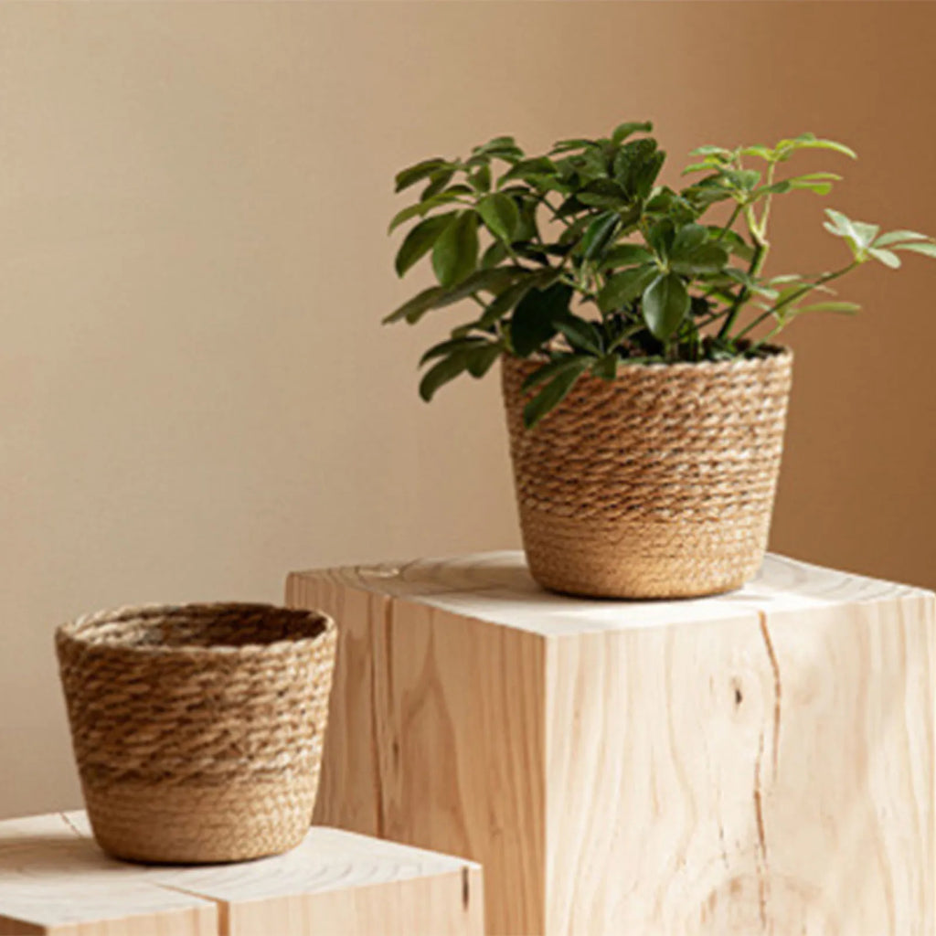 Nordic Style Natural Rattan Planter Basket