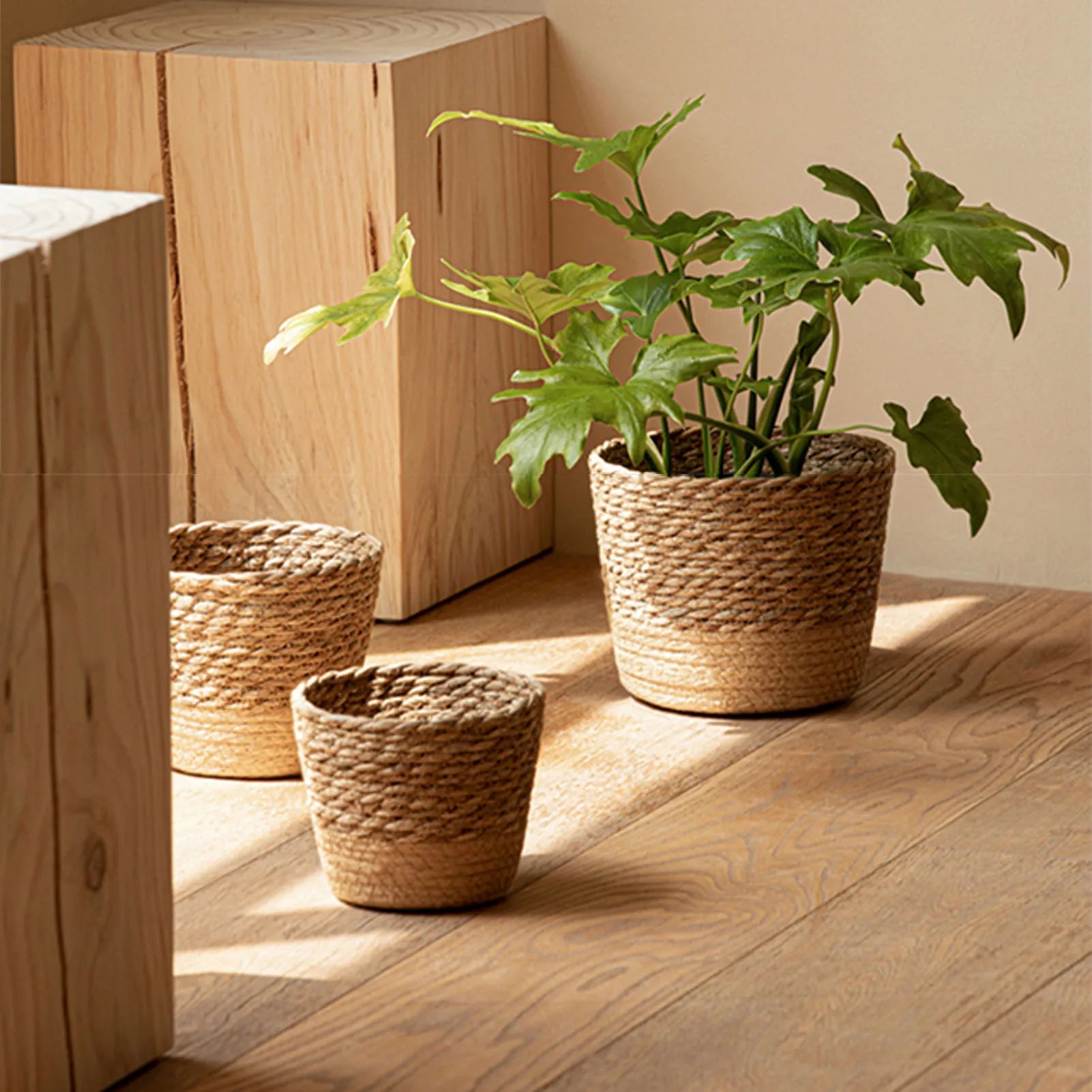 Nordic Style Natural Rattan Planter Basket