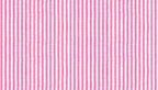 Seersucker Dinner Napkins, set of 4
