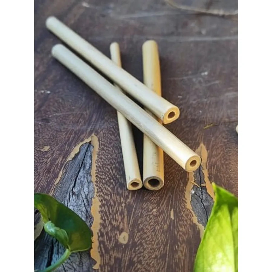 100-Pack 6-Inch Natural Bamboo Tubes