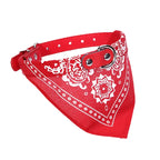 Adjustable PU Dog/Cat Collar with Detachable Scarf | For Small Medium Dogs and Cats