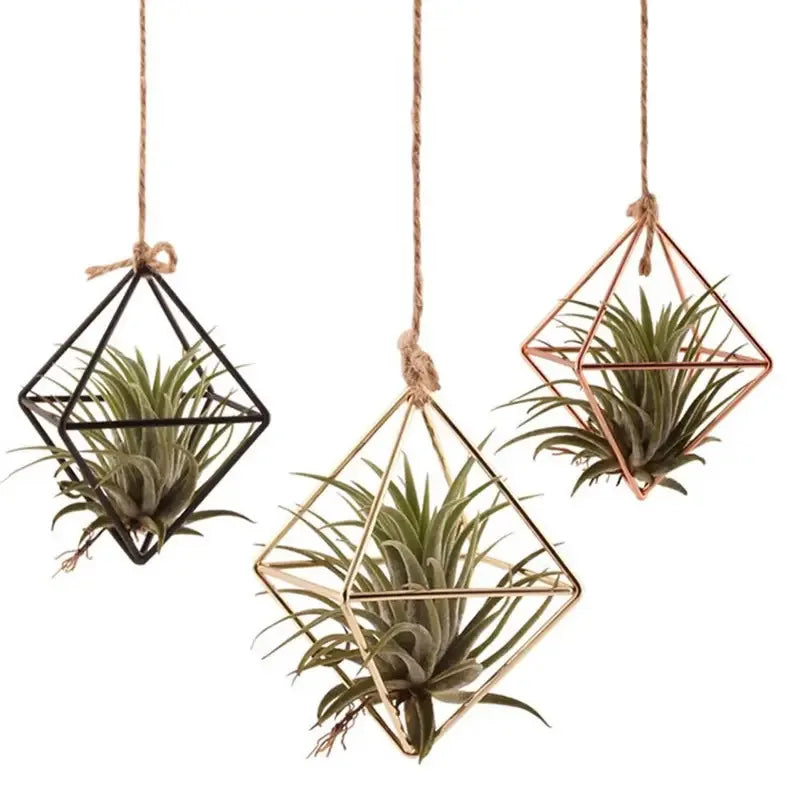 Modern Iron & Macrame Flower Hanger