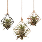 Modern Iron & Macrame Flower Hanger