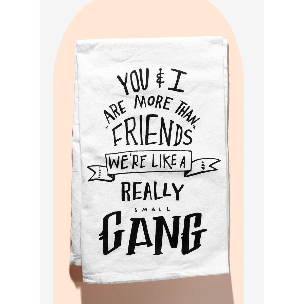 Set of 2 More Than Friends Snarky Dish Cloth Towel