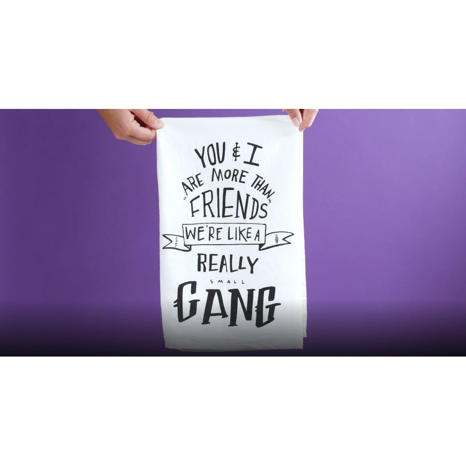 Set of 2 More Than Friends Snarky Dish Cloth Towel