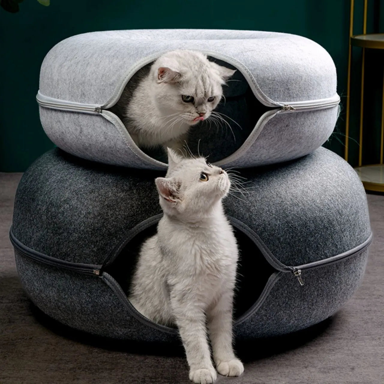 Interactive Tunnel/Donut Cat Bed & House