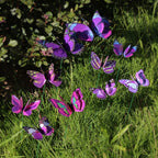 10pcs Large Butterfly Garden Yard Planter