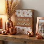 Soul Full Of Sunshine Boho Sunburst Home Decor