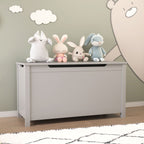 Toy Box Storage With Safety Hinged Lid