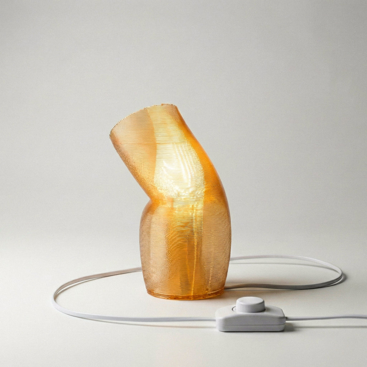 Brooklyn Studio Blob Lamp