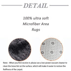 Shag Area Rugs for Bedroom Living Room,Ultra Soft Fluffy Area Rugs for Dorm, Indoor Carpet Nursery Rugs for Kids Room Home Decor, Modern Shaggy Rug