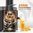 800W Multifunctional Centrifugal Juicer with Residue & Juice Separation  Ninja Chef