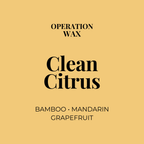 Clean Citrus Scented Candle