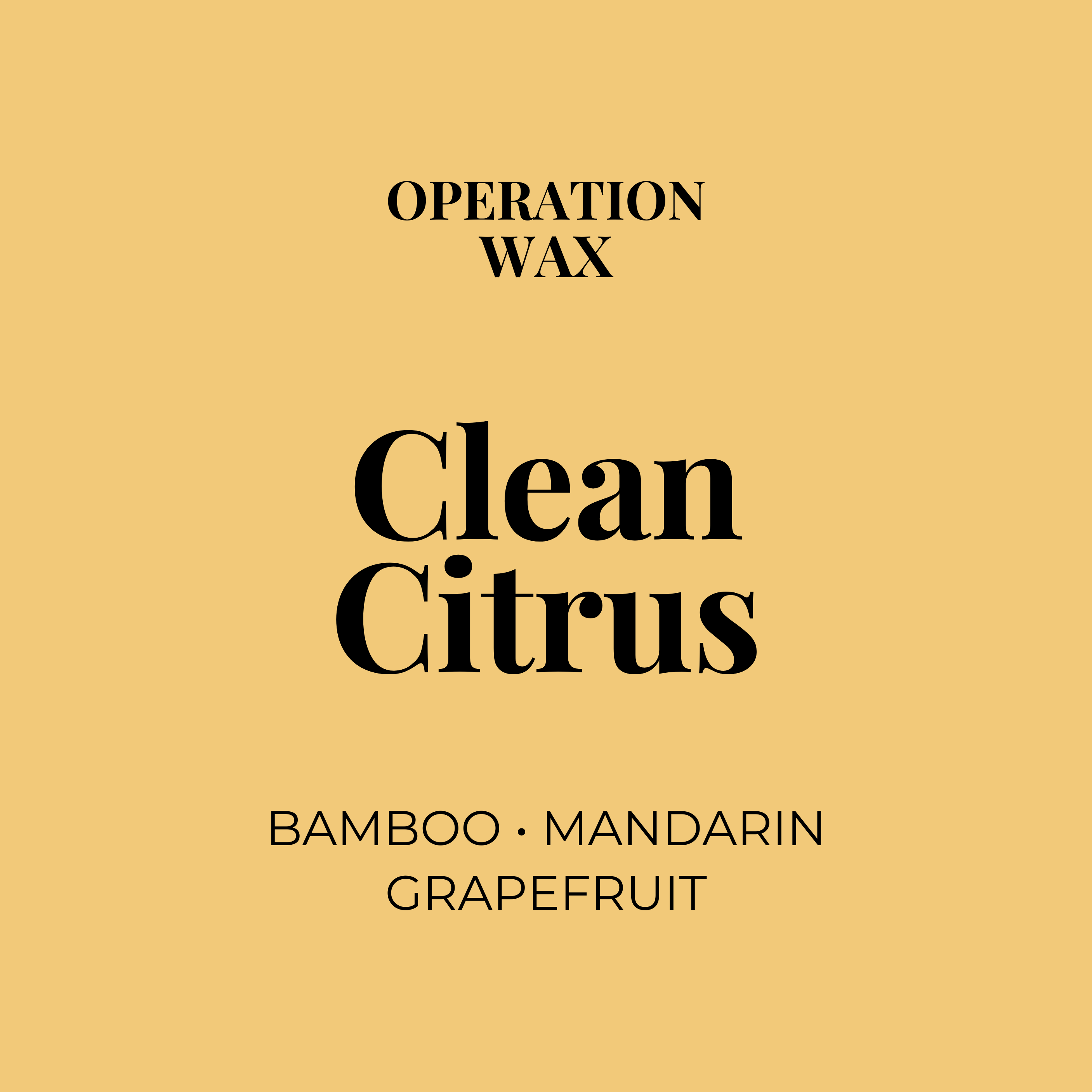Clean Citrus Scented Candle