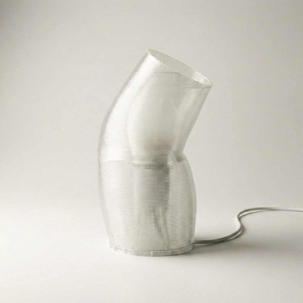 Brooklyn Studio Blob Lamp