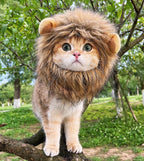 Lion Mane Wig Costume for Cat, Washable Comfortable