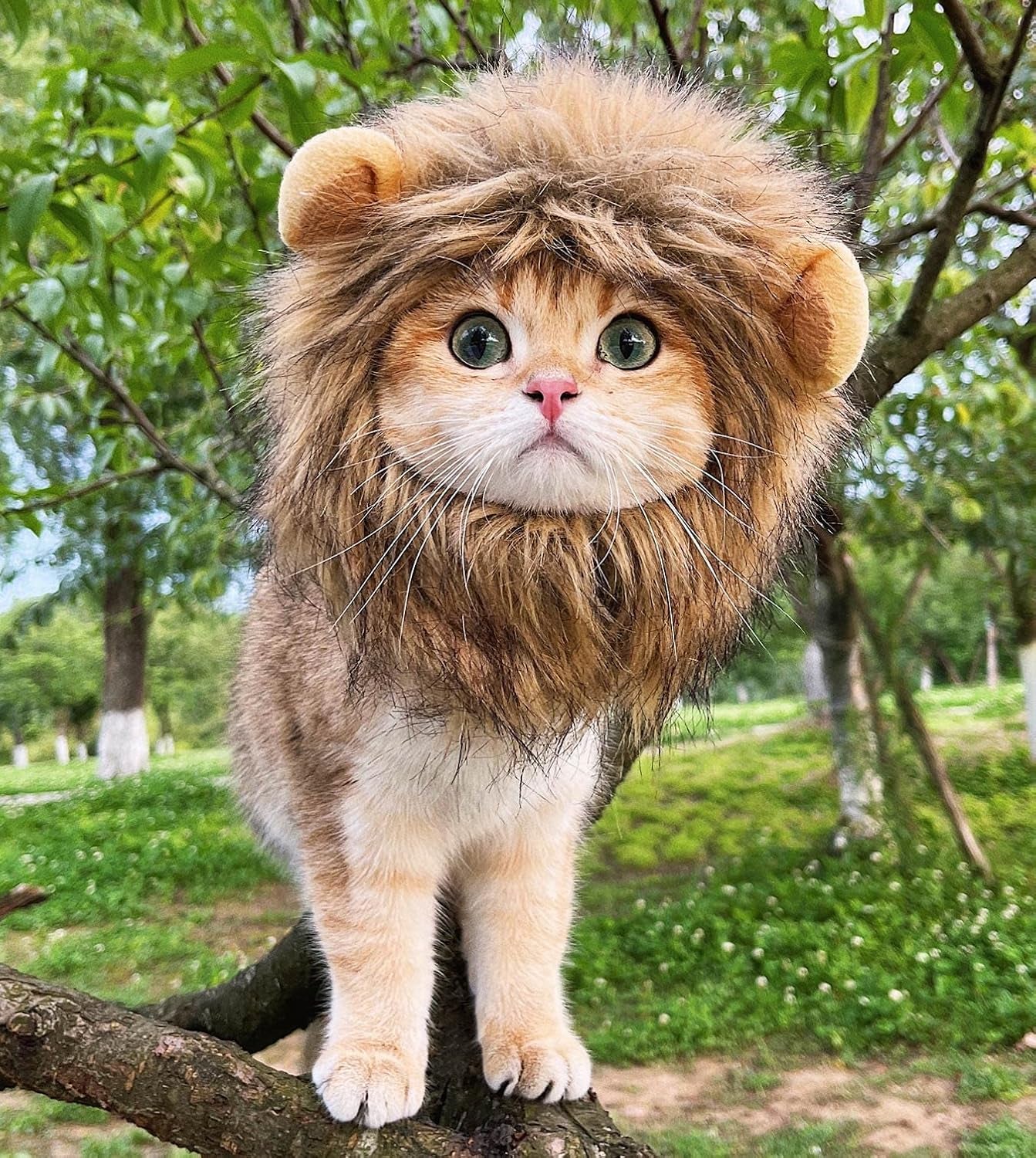 Lion Mane Wig Costume for Cat, Washable Comfortable