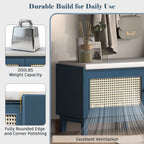 Boho Rattan Entryway Bench with Storage, Cushioned Shoe Bench with Double
