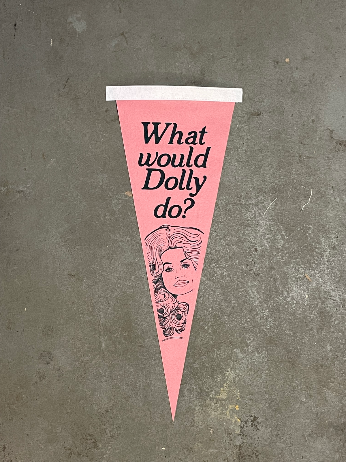 What Would Dolly Do? Pennant