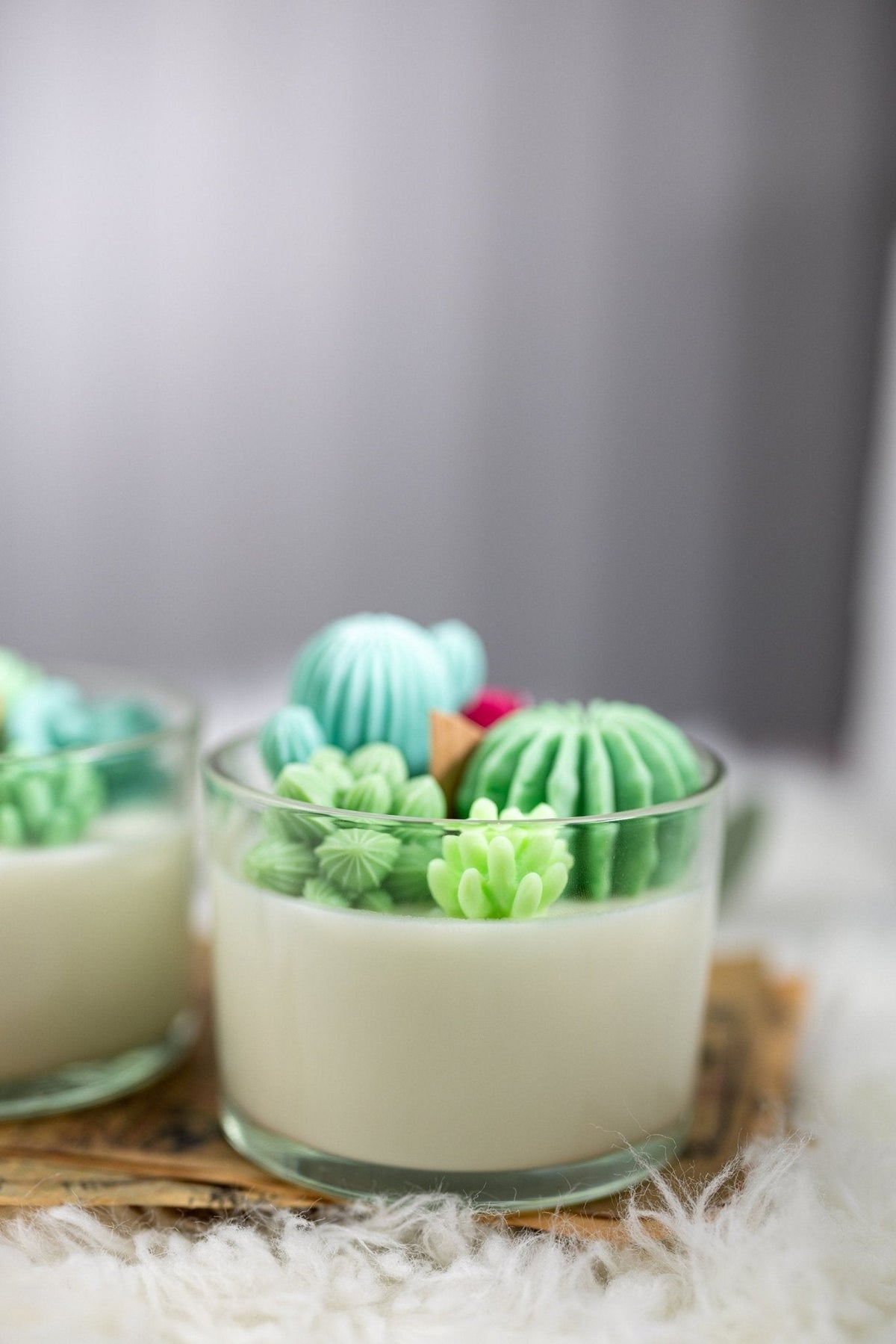 Succulent Cacti Candle with Glass Terrarium Garden Gift, Cactus Blossom Scent
