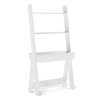 Ladder Shelf Desk