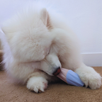 The Ubbe Modern Dog Licking Toy